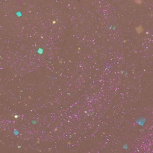S062 blink puppy